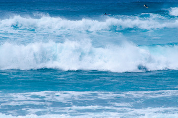 Obraz premium Wave and surfer