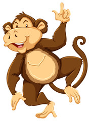 Monkey