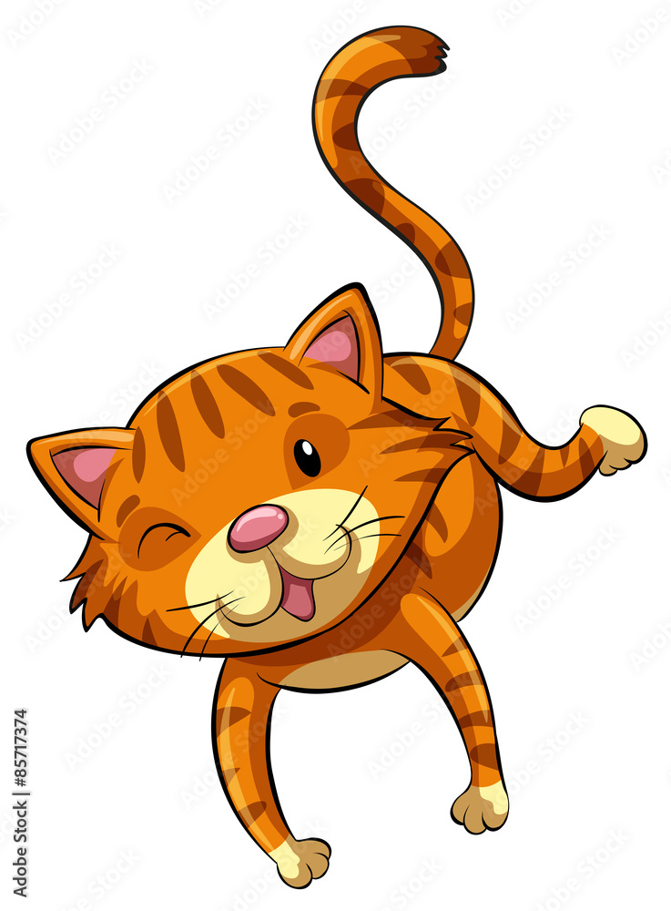 Poster cute cat