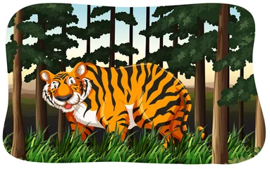 Tiger © blueringmedia