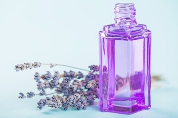 Lavender, Oil, Aromatherapy.