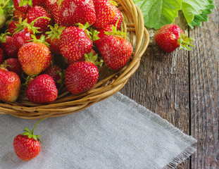 strawberries in natural background