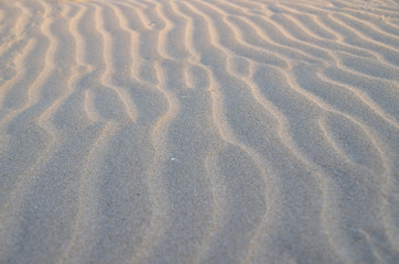 Fototapeta na wymiar Texture di Sabbia