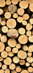 Brennholz als Vorrat im Dorf. Alternative Energiequelle.
