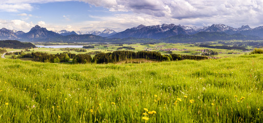 Panorama Landschaft in Bayern am Forggensee mit Blick auf die Alpenkette mit Berg Säuling, dem...
