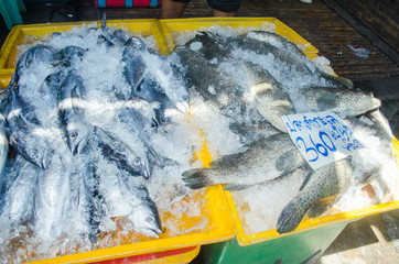 Fresh fish on ice on the market