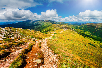 Mountain path in Carpathians, Ukraine.
