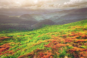 Mountain range  in summer