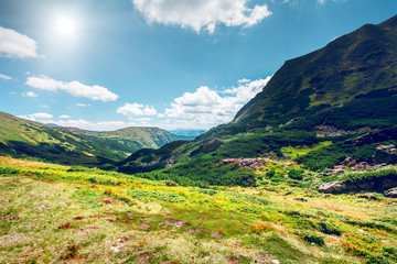 Fototapeta na wymiar Mountain landscape in summer