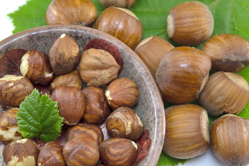 Raw hazelnuts in a bowl with a green leaf