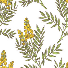 senna plant - vector seamless floral pattern