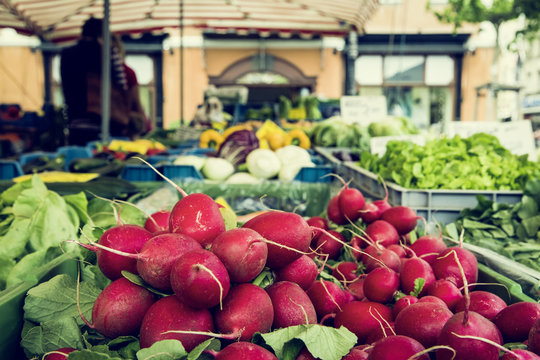 bio fruit and vegetable farmer's market