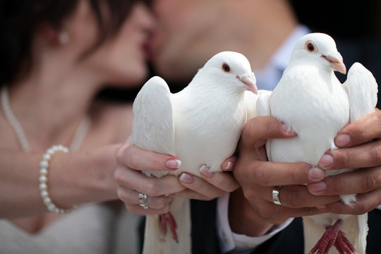 Married couple with white pegeons