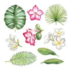 Fototapeta na wymiar Watercolor llustrations of tropical flora