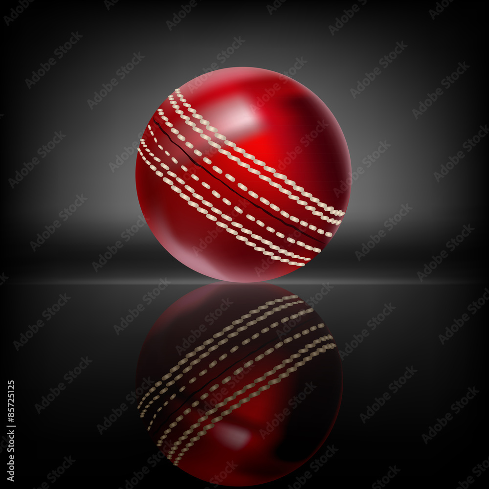 Wall mural Cricket Ball
All elements are in separate layers and grouped.