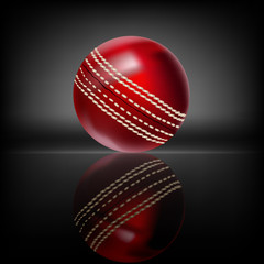 Cricket Ball
All elements are in separate layers and grouped.
