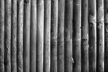 Fototapeta premium bamboo texture and background