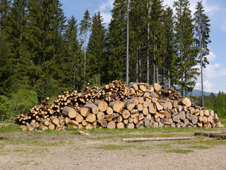 Holzlagerplatz