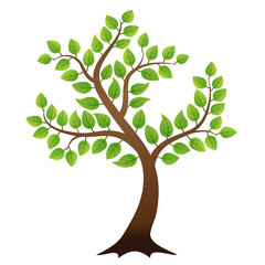 Vector green tree on white background, vector illustration