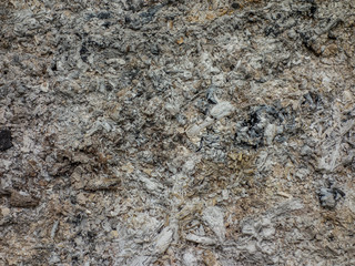 Holzasche