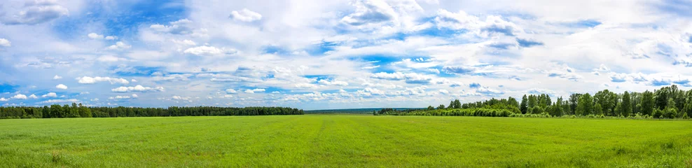Fototapeten Sommerlandschaft ein Panorama mit einem Feld, Landwirtschaft © yanikap