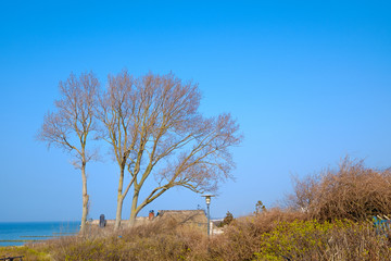 Ahrenshoop/Deutschland