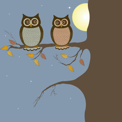 Pair of owls on branch