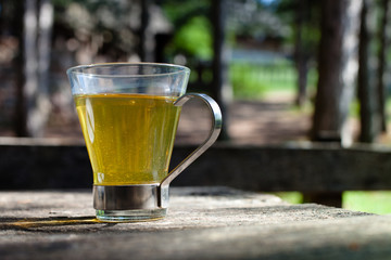 herbal tea in forest