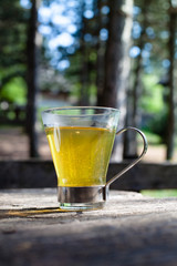 organic tea in forest