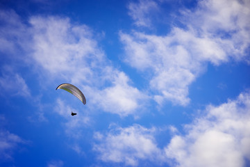glider 