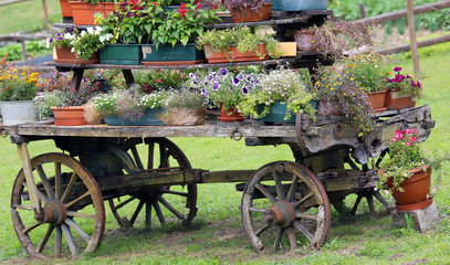 old wooden cart decorated with many flowers