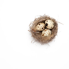 Naklejka na ściany i meble egg in a nest on a white background