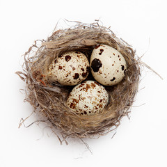 Naklejka na ściany i meble egg in a nest on a white background