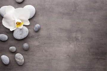 Naklejka na ściany i meble White orchid and spa stones on the grey background.