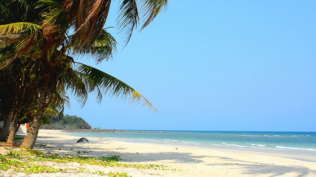 Tropical beach scenery