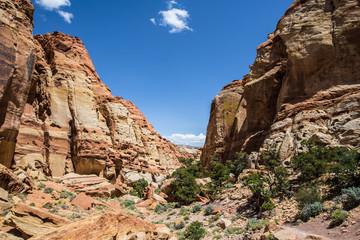 Fototapeta premium Capitol Reef national park