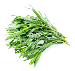 Tarragon herbs