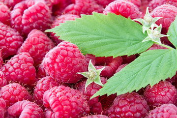 Himbeeren