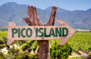 Pico Island wooden sign with winery background