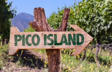 Pico Island wooden sign with winery background