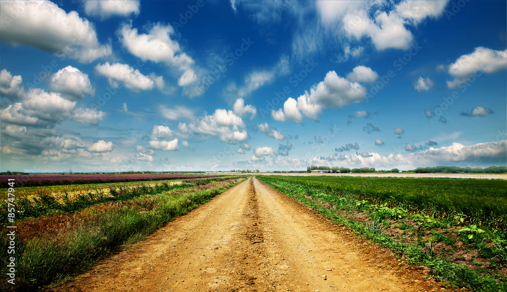 Canvas Prints road in field