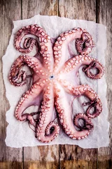 Foto auf Leinwand whole fresh raw octopus on a paper © nblxer