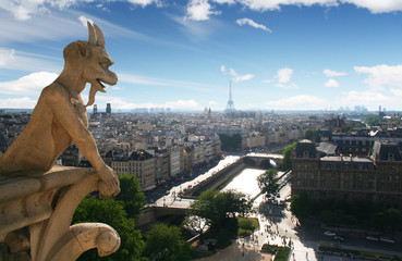 Gargoyle on Notre Dame Catheral in Paris