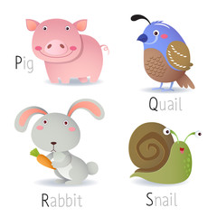 Illustration of alphabet with animals from P to S
