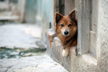 Auf den Straßen von Havanna