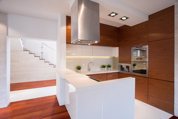Modern wooden kitchen