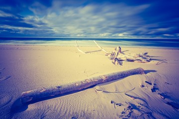Vintage photo of Baltic sea shore seascape