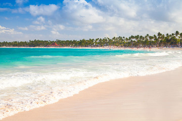 Fototapeta na wymiar Coastal Caribbean landscape. Sandy beach
