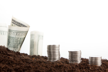 Money in the ground on a white background