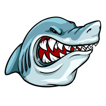 Shark mascot, team label design.